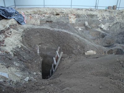 Изменение размера DSC02097.JPG